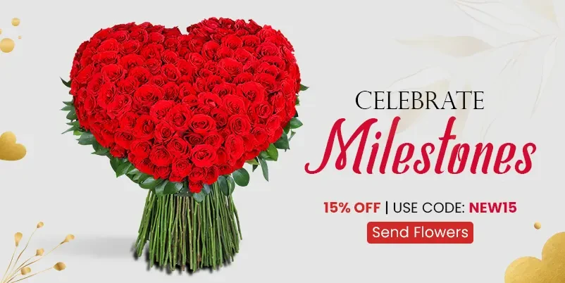 Ecommerce Demo promo