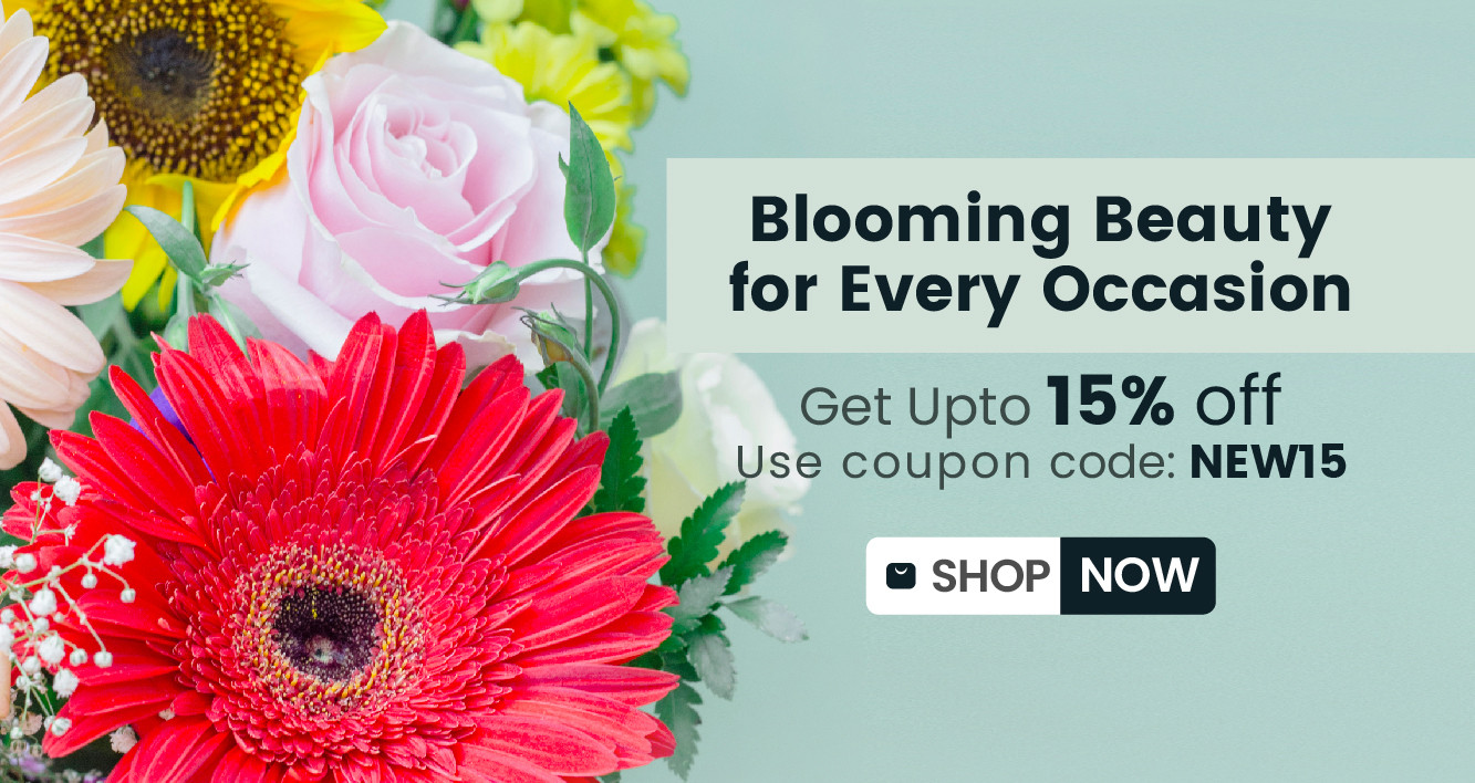 Ecommerce Demo promo