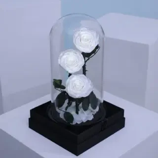 White Trio Forever Rose