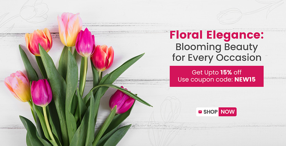 Ecommerce Demo promo